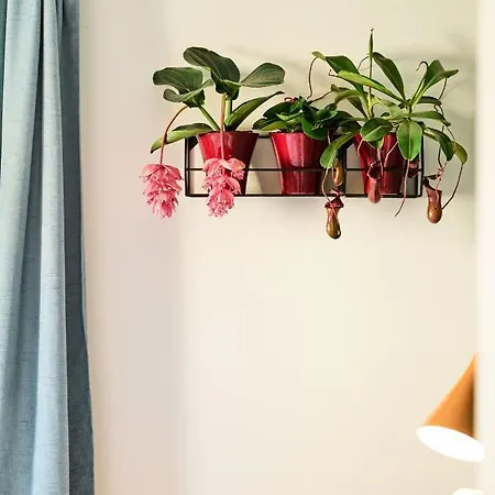 Rotes Haus Pop-up Appartement Brégence