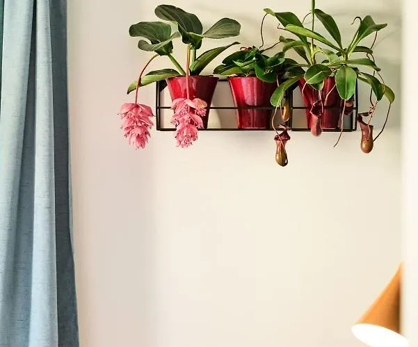 Rotes Haus Pop-up Apartman Bregenz